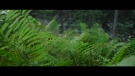 Filename=chaoswalking_officialtrailer_0155.jpg
Filesize=113KiB
Dimensions=1920x1080
Date added=Nov 20, 2020 chaoswalking_officialtrailer_0155.jpg