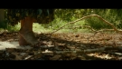 Filename=aquietplace_partii_trailer2_scnet_0027.jpg
Filesize=170KiB
Dimensions=1920x1080
Date added=May 16, 2021 aquietplace_partii_trailer2_scnet_0027.jpg