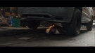 Filename=shazamfotg_trailer_0035.jpeg
Filesize=430KiB
Dimensions=2048x1152
Date added=Jul 26, 2022 shazamfotg_trailer_0035.jpeg