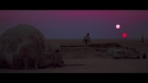 swiv_trl1_0005.jpeg