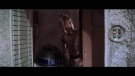 swiv_trl1_0248.jpeg