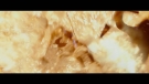 Filename=rogueone_trl1_0238.jpeg
Filesize=77KiB
Dimensions=1920x1080
Date added=Apr 12, 2020 rogueone_trl1_0238.jpeg
