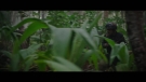 Filename=rogueone_trl2_0183.jpeg
Filesize=69KiB
Dimensions=1920x1080
Date added=Apr 12, 2020 rogueone_trl2_0183.jpeg